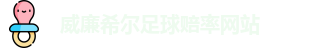 威廉希尔足球赔率网站
